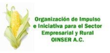 Oinser