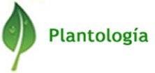 Plantología